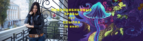 круглые Алексин
