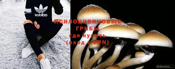 винт Россошь