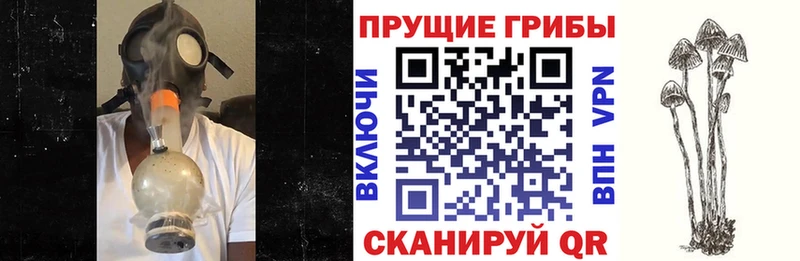 Галлюциногенные грибы MAGIC MUSHROOMS  Приморск 
